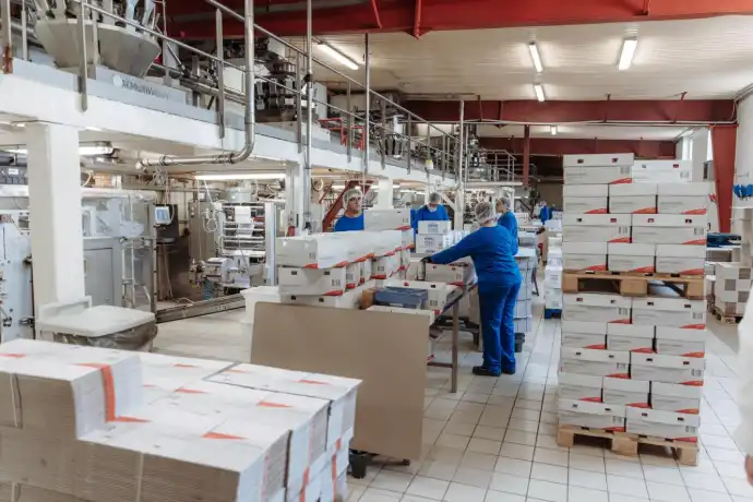 Packaging line at Ireco